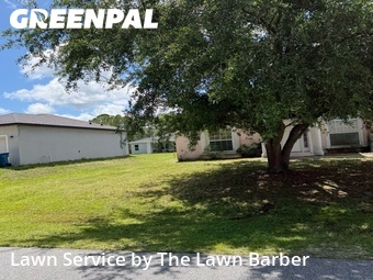 Lawn Cut nearby Palm Bay, FL, 