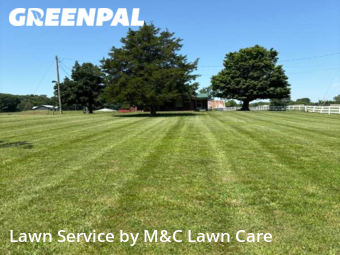 Lawn Mow nearby Indian Mound, TN, 