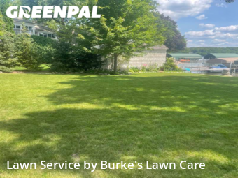 Yard Mowing nearby Greenwood, MN, 