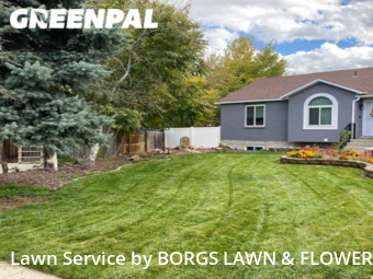 Yard Mowing nearby West Valley City, UT, 