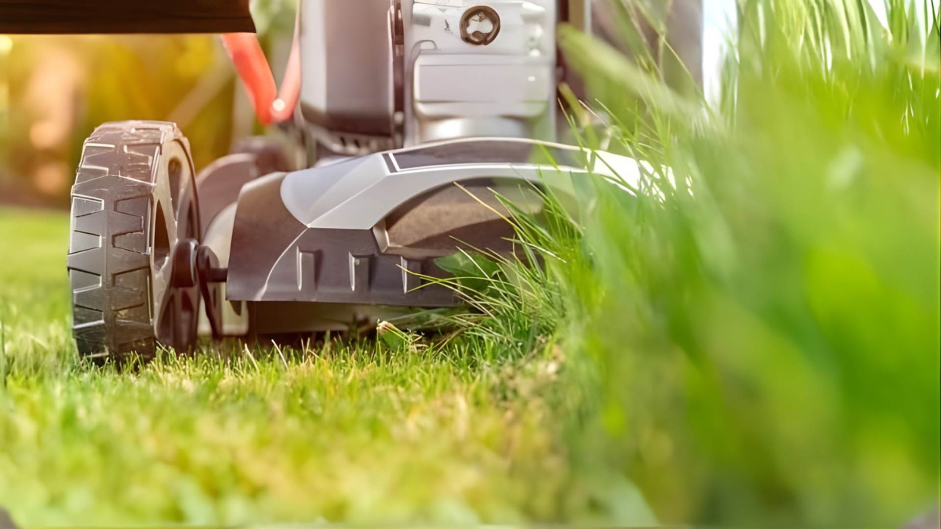 Charitable Lawn Mowing: Programs, Benefits, and How to Get Involved By Greenpal