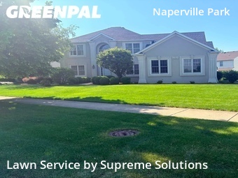 Lawn Servicein Naperville,60564,Lawn Care by Supreme Solutions , work completed in Jun , 2026