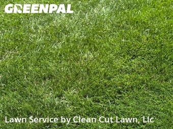 Lawn Care Service nearby Blue Springs, MO, 
