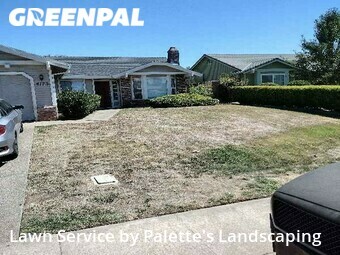 Lawn Care nearby Olivehurst, CA, 