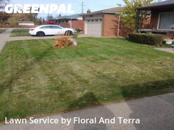 Lawn Cutting nearby Warren, MI, 