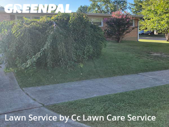 Yard Mowing nearby Overland, MO, 