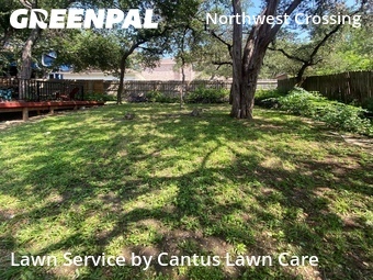 Grass Cut nearby San Antonio, TX, 