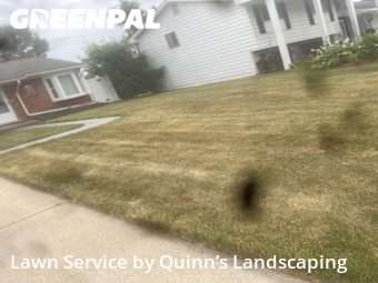 Lawn Mowing Service nearby Auburn Hills, MI, 