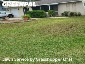 Lawn Mowing nearby Brandon, FL, 