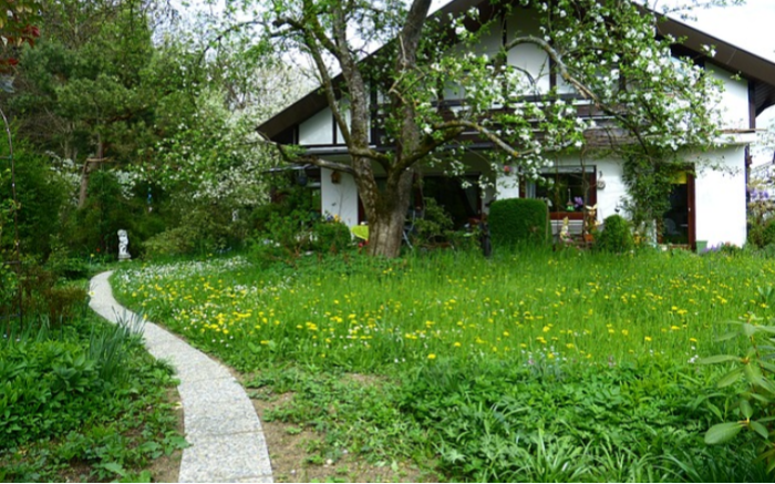 Work Image 2