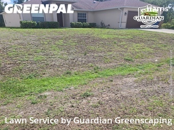 Landscaping In Lehigh Acres,33971,Landscaping Services by Guardian Greenscaping, work completed in Apr , 2026