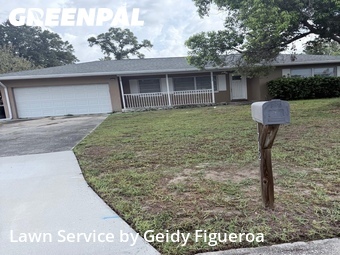 Grass Cut nearby Clearwater, FL, 