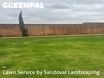 Lawn Maintenance nearby Lubbock, TX, 