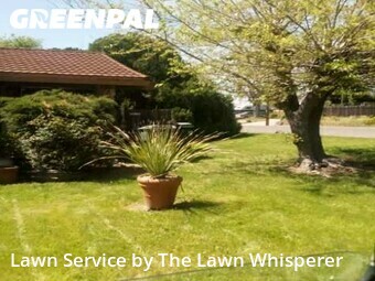 Lawn Mow nearby Sacramento, CA, 