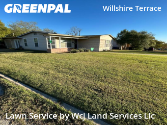 Local Lawn And Landscape Maintenance Services Near Me In San Antonio,78209,Landscaping Installation by Wcj Land Services Llc, work completed in Nov , 2025