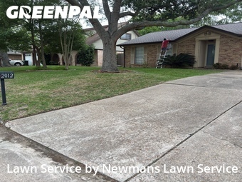 Grass Cut nearby League City, TX, 