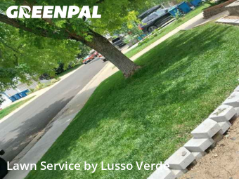 Grass Cut nearby Louisville, CO, 