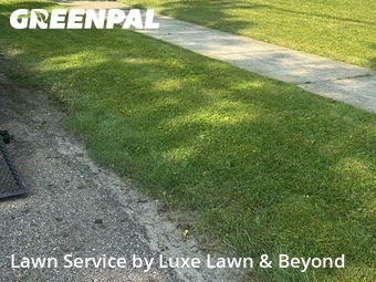 Grass Cut nearby Garfield Heights, OH, 