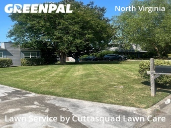 Grass Cut nearby Virginia Beach, VA, 