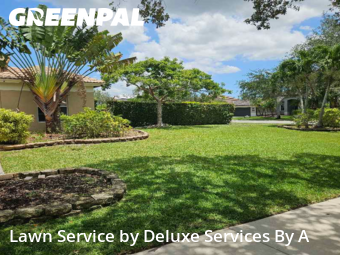 Yard Mowing in Parkland, 33076, Lawn Cutting by Deluxe Services By A, work completed in Dec , 2025