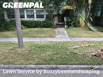 Lawn Cut nearby St. Petersburg, FL, 