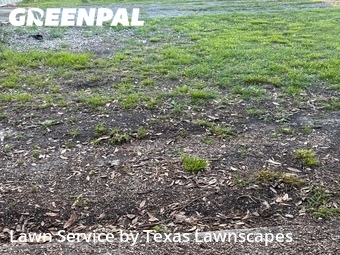 Lawn Mow nearby The Colony, TX, 