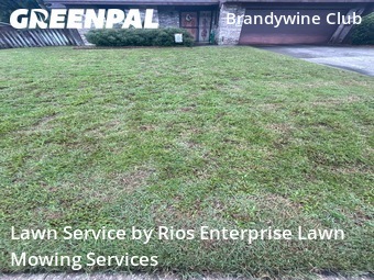 Lawn Mow nearby De Land, FL, 