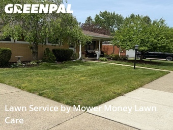 Grass Cut nearby Madison Heights, MI, 