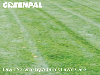 Yard Cutting nearby St. Louis, MO, 