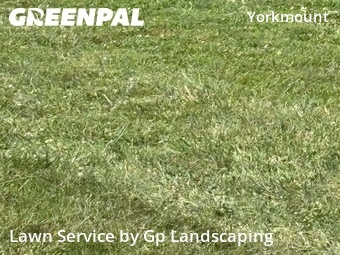 Lawn Service nearby Charlotte, NC, 