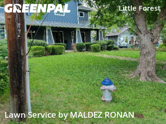 Lawn Mowing Service nearby Dallas, TX, 