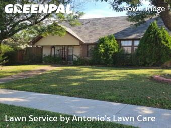 Grass Cutin Mesquite,75149,Lawn Care Service by Antonio's Lawn Care, work completed in Nov , 2025
