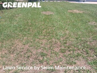 Lawn Cutting nearby St. Augustine, FL, 
