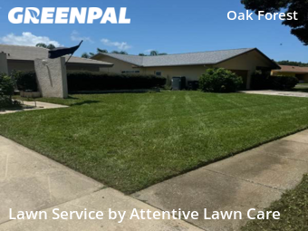 Yard Mowing nearby Clearwater, FL, 