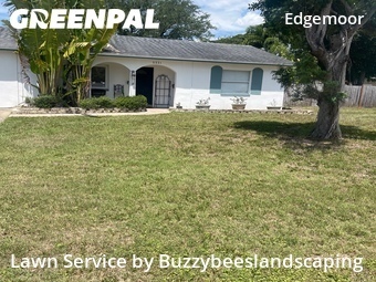 Commercial Landscaping In St. Petersburg,33703,Landscaping Maintenance by Buzzybeeslandscaping, work completed in Jun , 2026