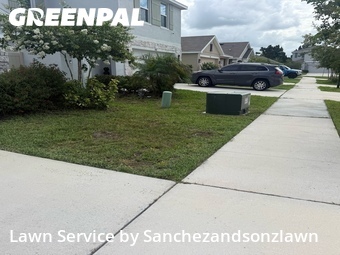Grass Cut nearby Wimauma, FL, 