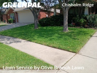 Affordable Landscaping In Fort Worth,76131,Landscape Design by Olive Branch Lawn, work completed in Jun , 2026