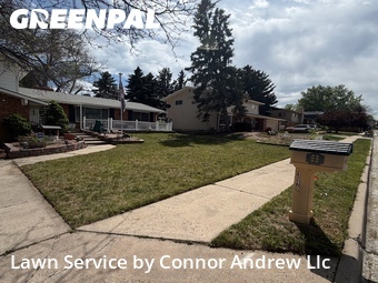 Yard Cutting nearby Lakewood, CO, 