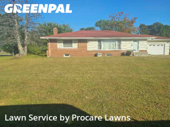 Lawn Upkeep in Brooklyn Center, 55429, Backyard Mowing by Procare Lawns, work completed in Nov , 2025