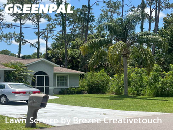 Lawn Care nearby Palm Coast, FL, 