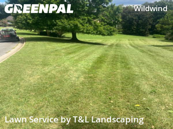 Lawn Work in Lynchburg, 24503, Yard Care by T&L Landscaping , work completed in Nov , 2025