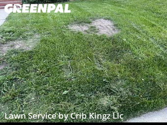 Yard Mowing nearby West Allis, WI, 