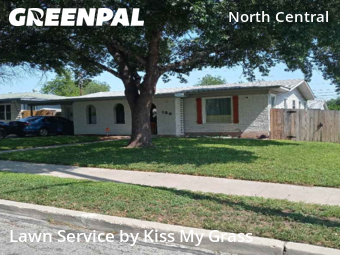 Lawn Cut nearby San Antonio, TX, 
