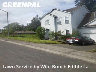 Grass Cutting nearby Kent, WA, 