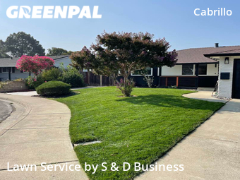 Yard Mowing nearby Fremont, CA, 