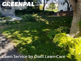 Lawn Cut nearby Minneapolis, MN, 
