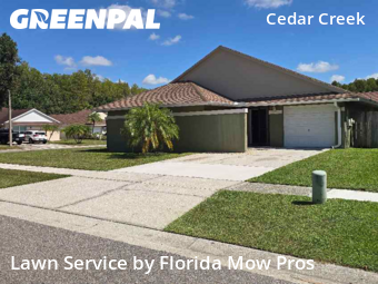 Grass Cut nearby Tampa, FL, 