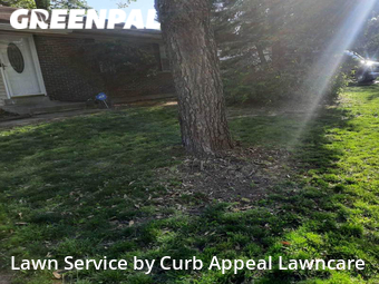 Grass Cutting nearby St. Louis, MO, 