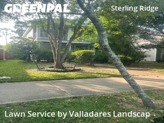 Lawn Mowing Servicein The Woodlands,77382,Yard Mowing by Valladares Landscap, work completed in Dec , 2025