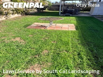 Work completed by cheap-lawn-cutting-businesses-in-San Diego-CA